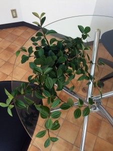 image2